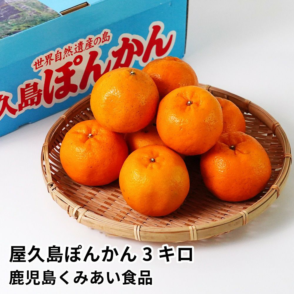 屋久島ぽんかん 3キロ 2L～Mサイズの商品画像01