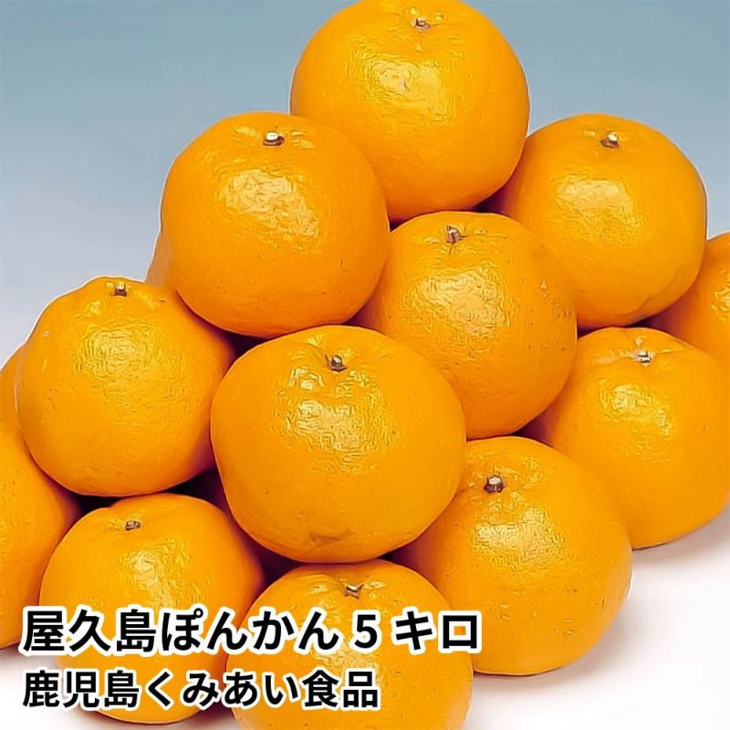 屋久島ぽんかん 5キロのギフト通販・お取り寄せ | JA鹿児島ふるさと便 公式