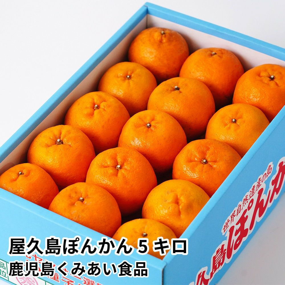 屋久島ぽんかん 5キロ 2L～Mサイズの商品画像01