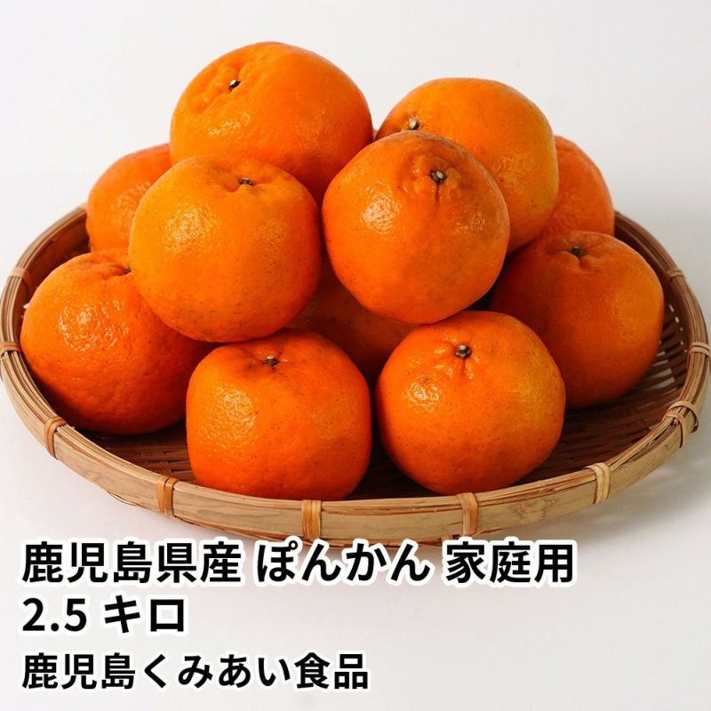 鹿児島県産 ぽんかん 家庭用 2.5キロ 2L～Mサイズの商品画像01