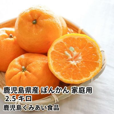 JA種子屋久のギフト通販・お取り寄せ商品をご紹介 | JA鹿児島ふるさと