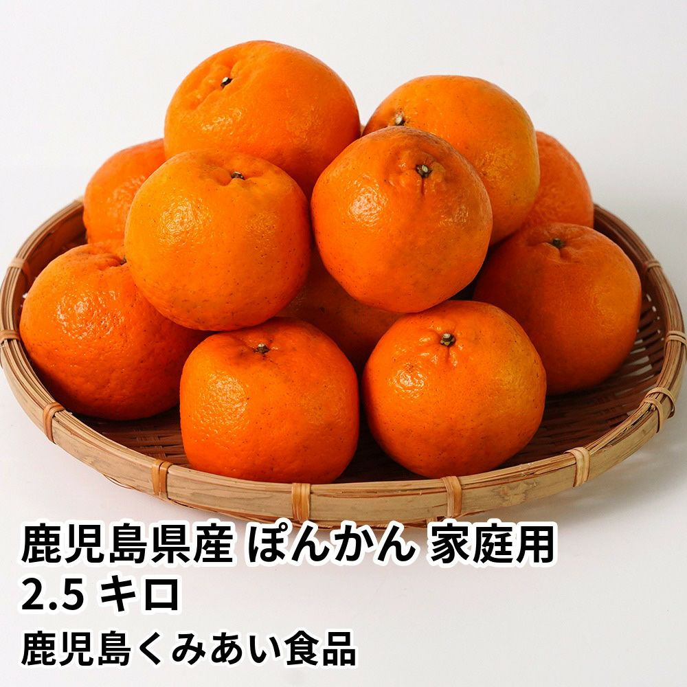 鹿児島県産 ぽんかん 家庭用 2.5キロ 2L～Mサイズの商品画像01
