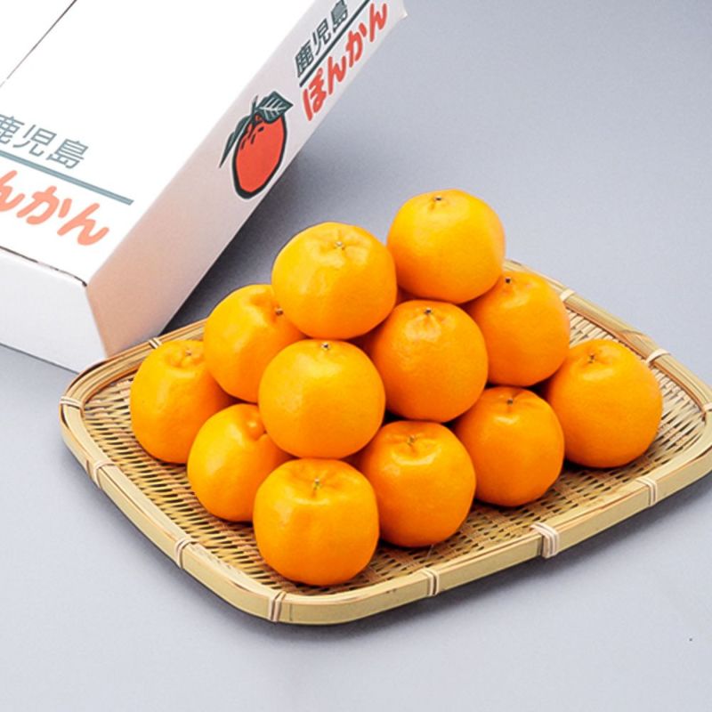 ぽんかん様　５台まとめ購入専用ページ ぽんかん】2Lサイズ｜5kg （約24個） | 酒瀬川果樹園