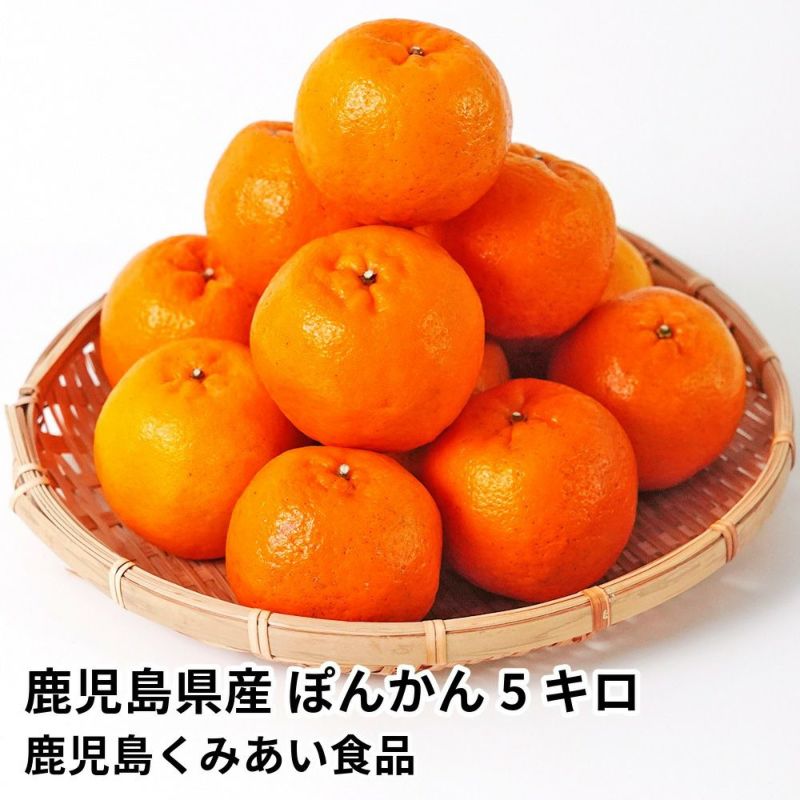 鹿児島県産 ぽんかん 5キロ 2L～Mサイズのギフト通販・お取り寄せ | JA