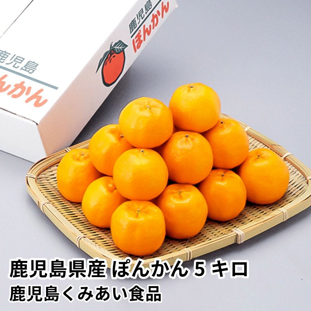 鹿児島県産 ぽんかん 5キロ 2L～Mサイズの商品画像01
