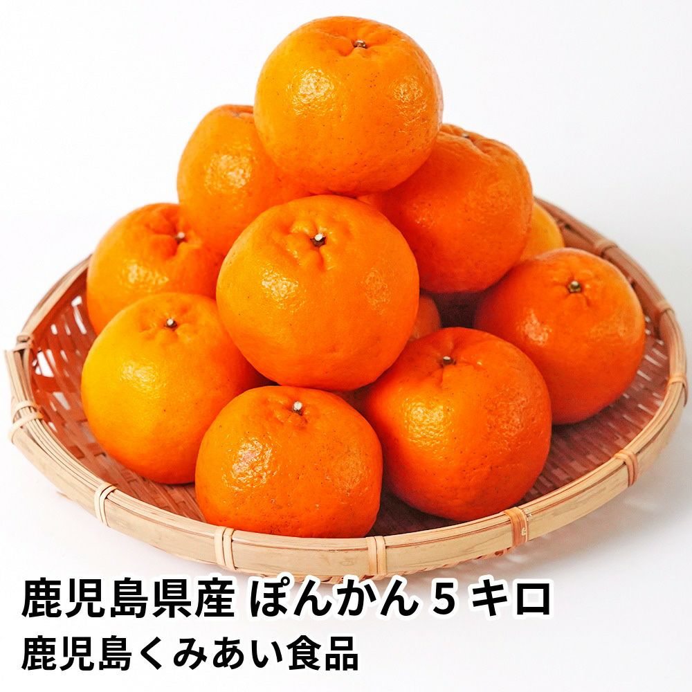 鹿児島県産 ぽんかん 5キロ 2L～Mサイズの商品画像01