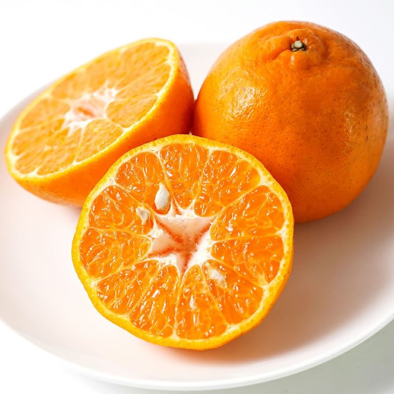 鹿児島県産 ぽんかん 5キロ 2L～Mサイズの商品画像03