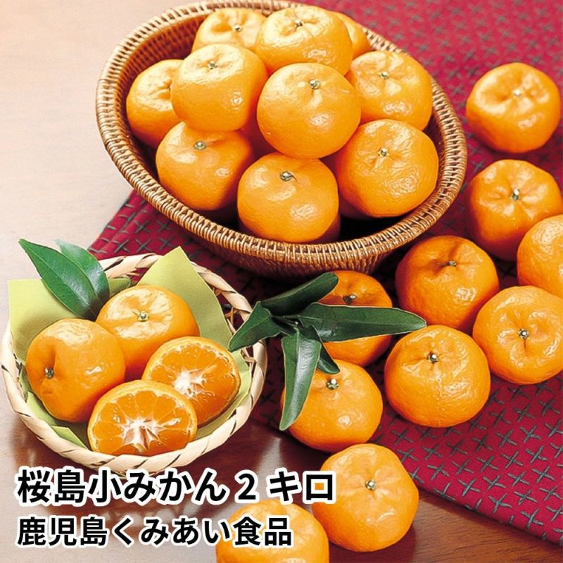 みかん ご予約2026年1月14日以降順次発送予定】【秋ギフト対応・いい夫婦の日