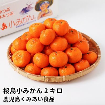 グリーンマイカ♡シリカ共生パームNo.2507 三共理化学 研磨剤入り ミガキロンZ 粗目 グリーン ＃150