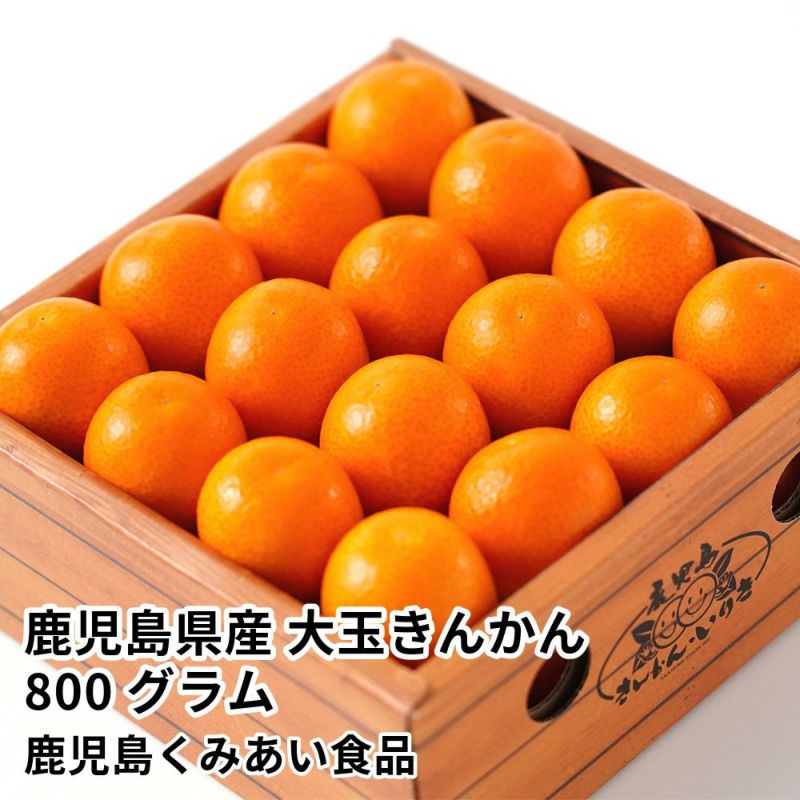 鹿児島県産 大玉きんかん 800グラム 3L～2Lサイズの商品画像01