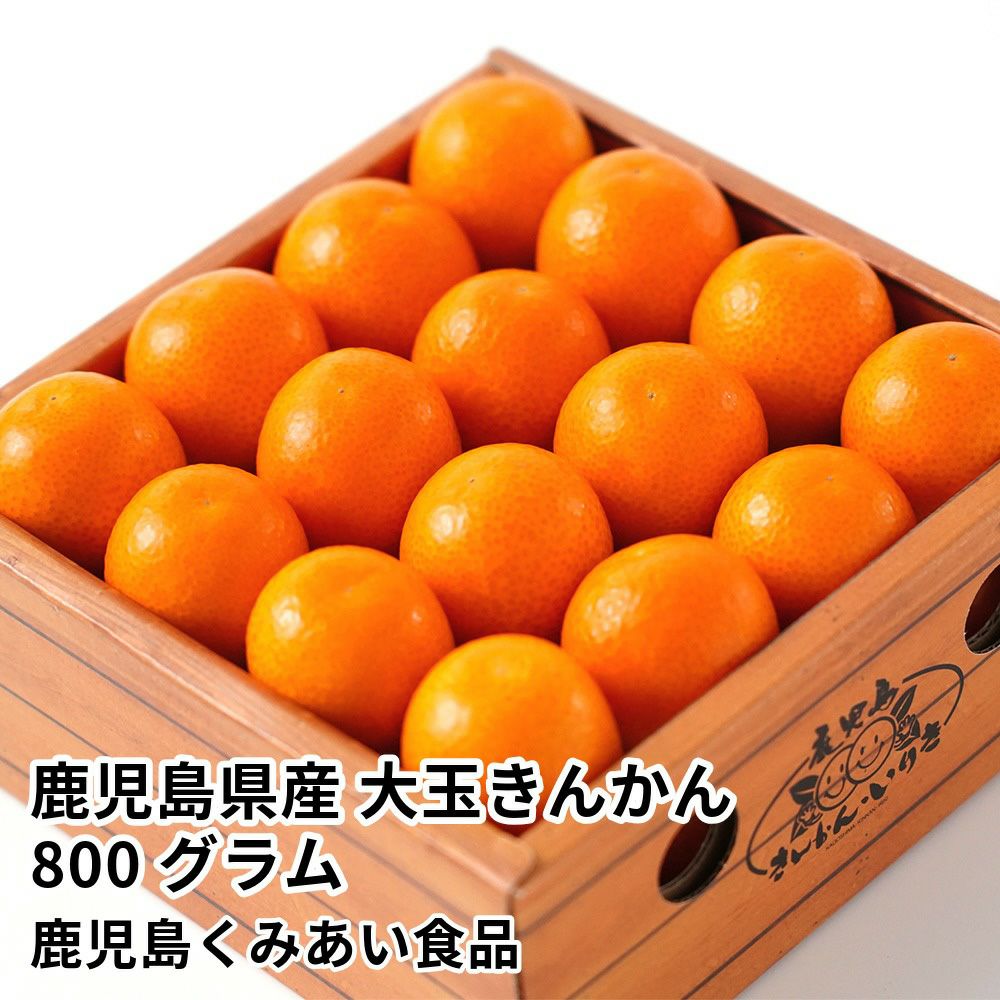 鹿児島県産 大玉きんかん 800グラム 3L～2Lサイズの商品画像01