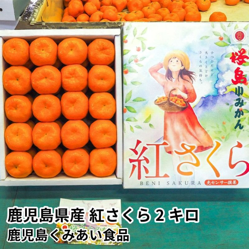 鹿児島県産 紅さくら 2キロ Lサイズの商品画像01