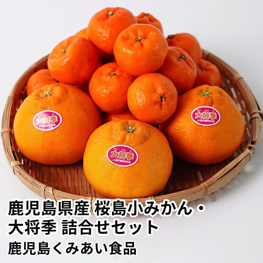 鹿児島県産 桜島小みかん・大将季 詰合せセットの商品画像01