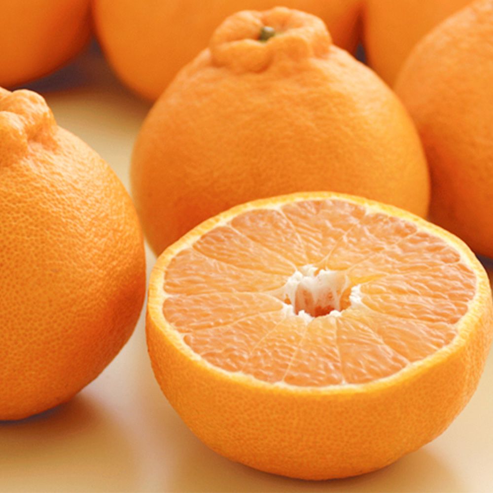 鹿児島県産 桜島小みかん・大将季 詰合せセットの商品画像03