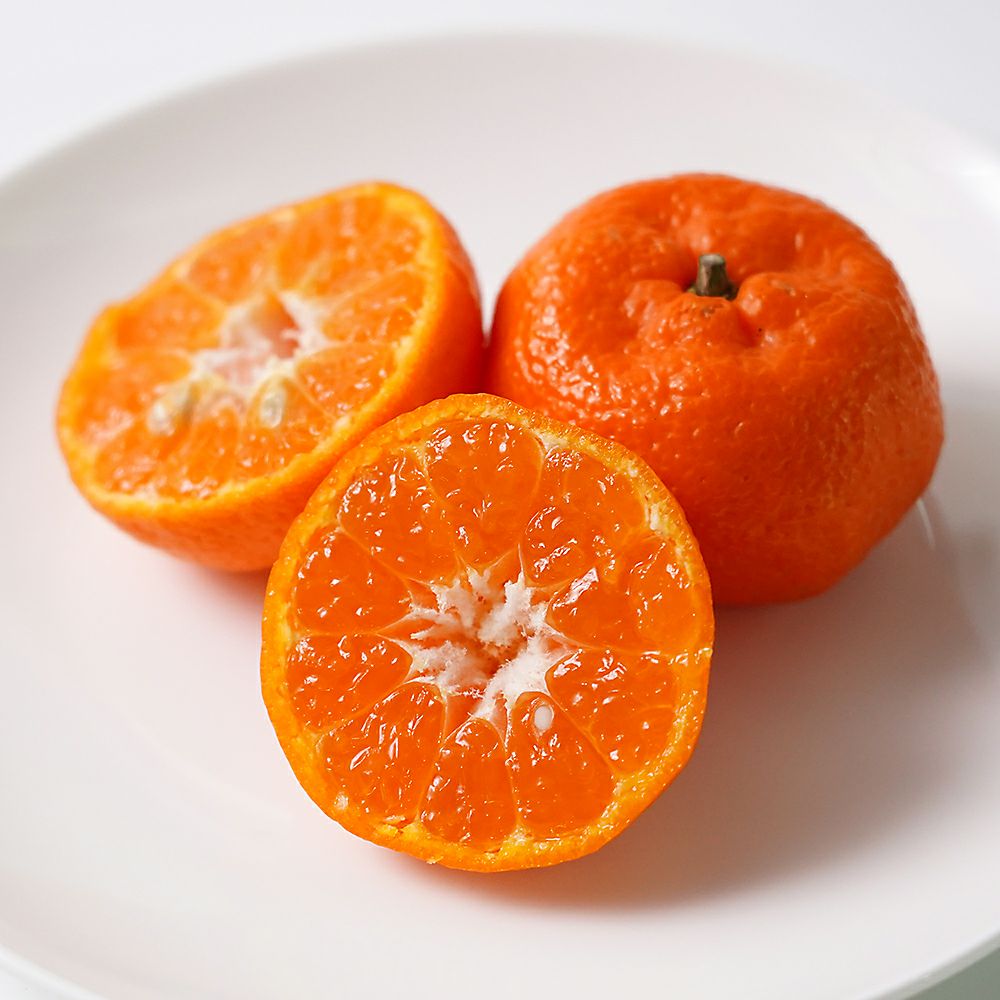 鹿児島県産 桜島小みかん・大将季 詰合せセットの商品画像03