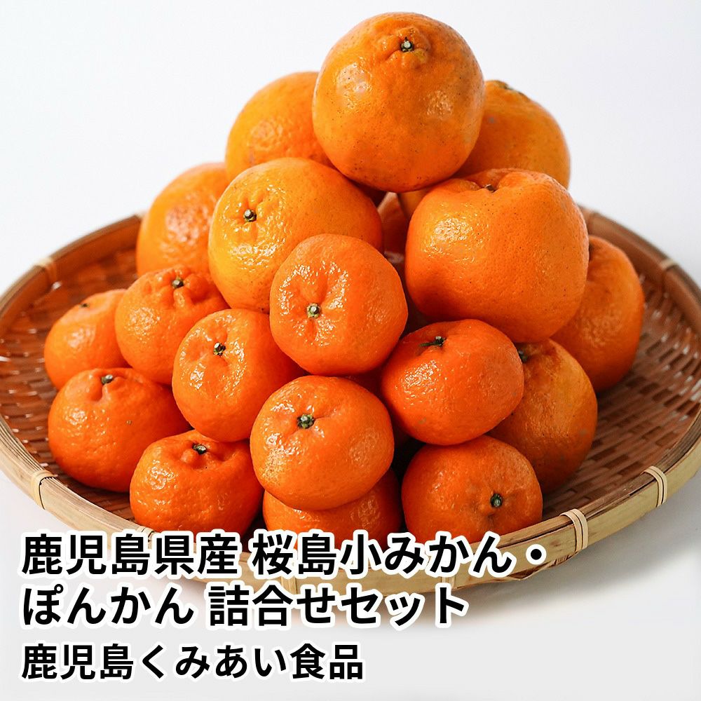 鹿児島県産 桜島小みかん・ぽんかん 詰合せセットの商品画像01