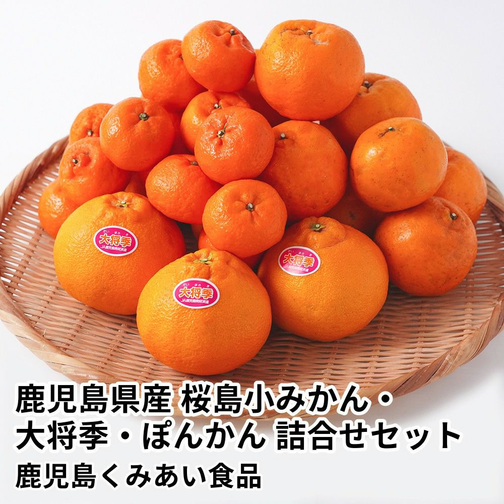 鹿児島県産 桜島小みかん・大将季・ぽんかん 詰合せセットの商品画像01