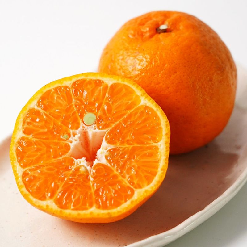 桜島小みかん・大将季・ぽんかん 詰合せセットのギフト通販・お