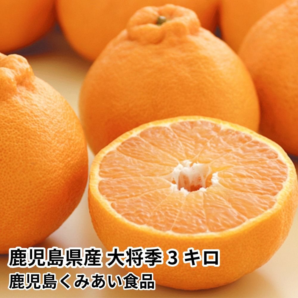 鹿児島県産 大将季 3キロ 7玉～12玉 5L～2Lサイズの商品画像01