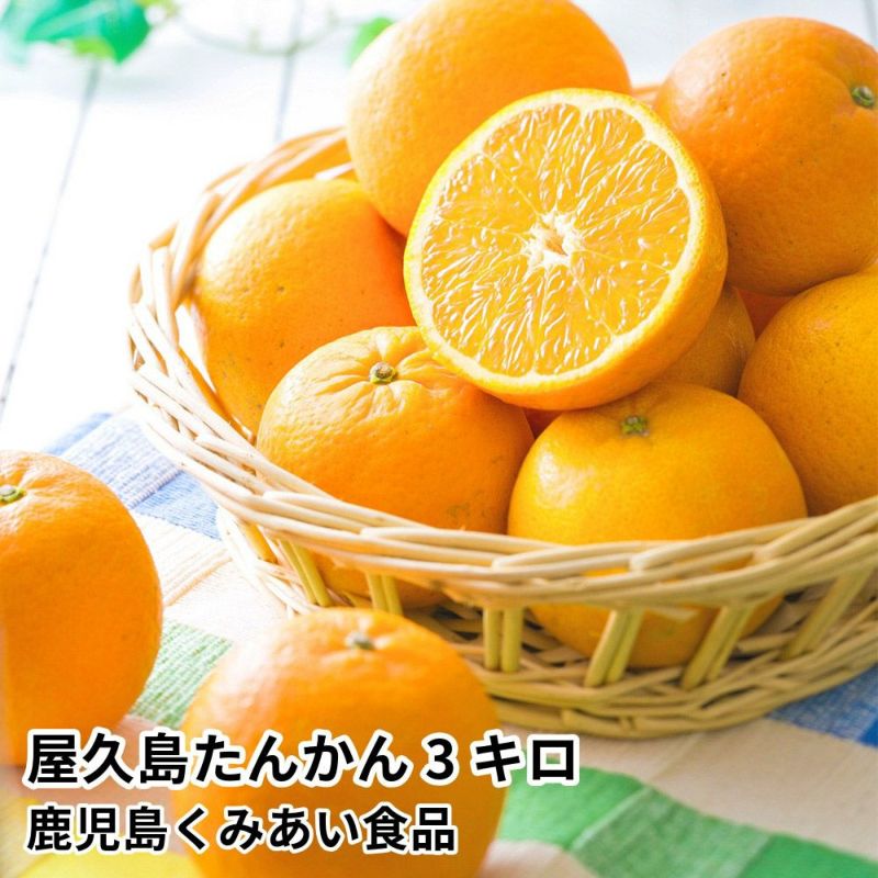 屋久島たんかん 3キロ 2L～Mサイズの商品画像01