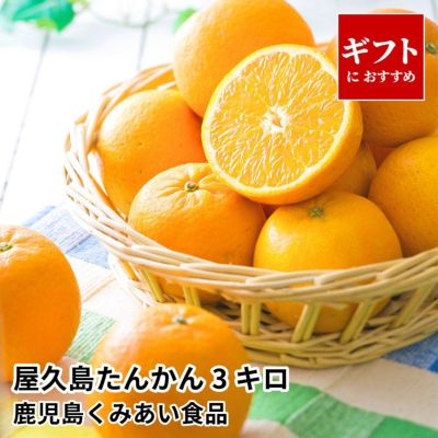 屋久島たんかん ギフト用 5キロ 2L～Mサイズのギフト通販・お取り寄せ