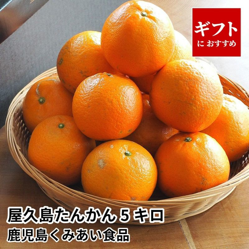 屋久島たんかん ギフト用 5キロ 2L～Mサイズのギフト通販・お取り寄せ
