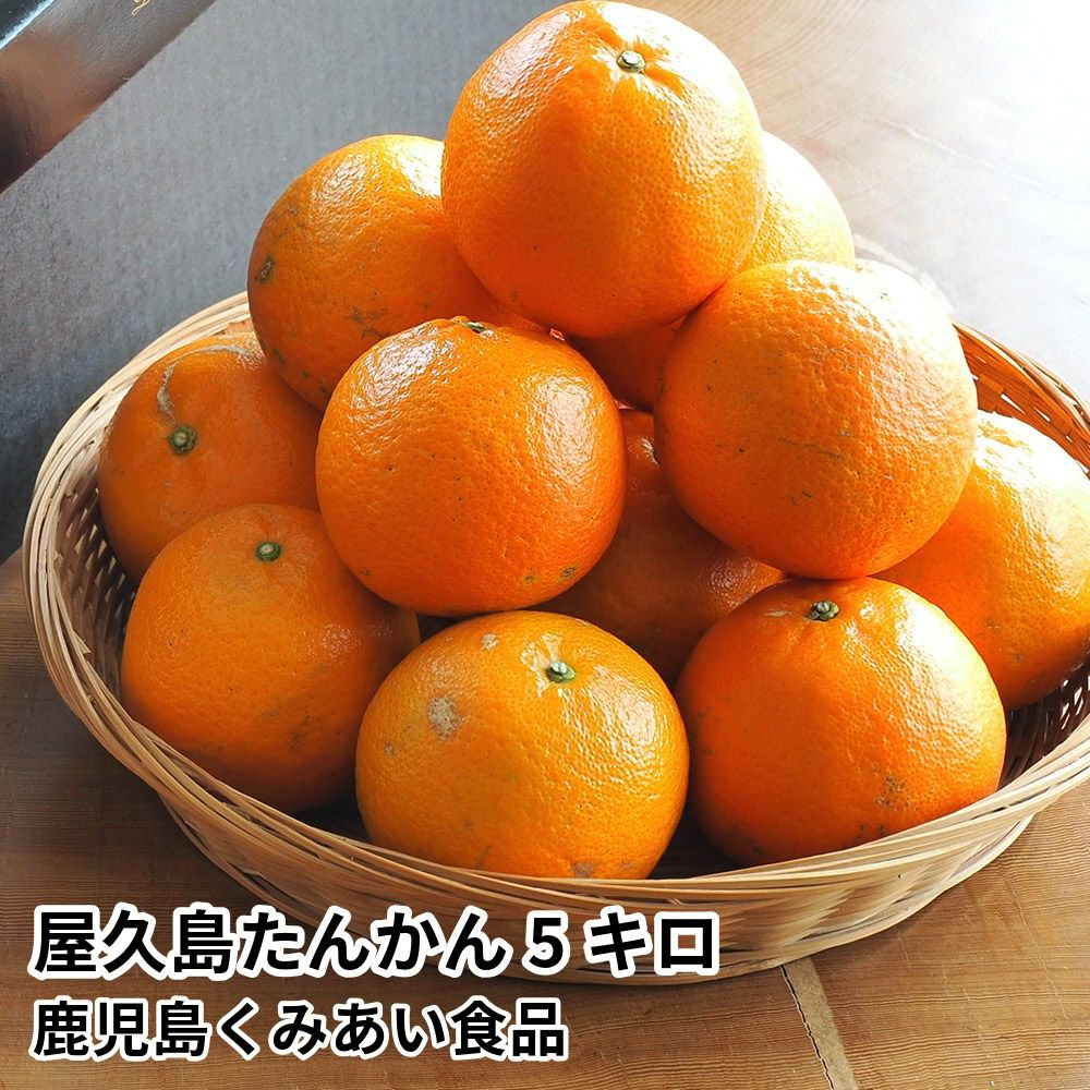 屋久島たんかん 5キロ 2L～Mサイズの商品画像01