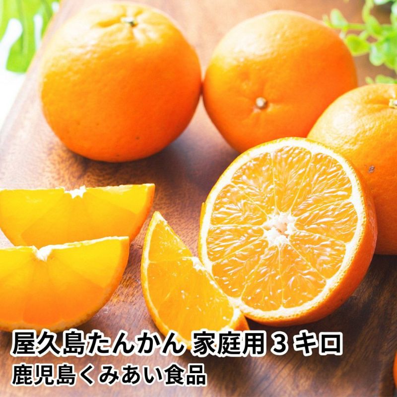 屋久島たんかん 家庭用 3キロ 2L～Sサイズの商品画像01