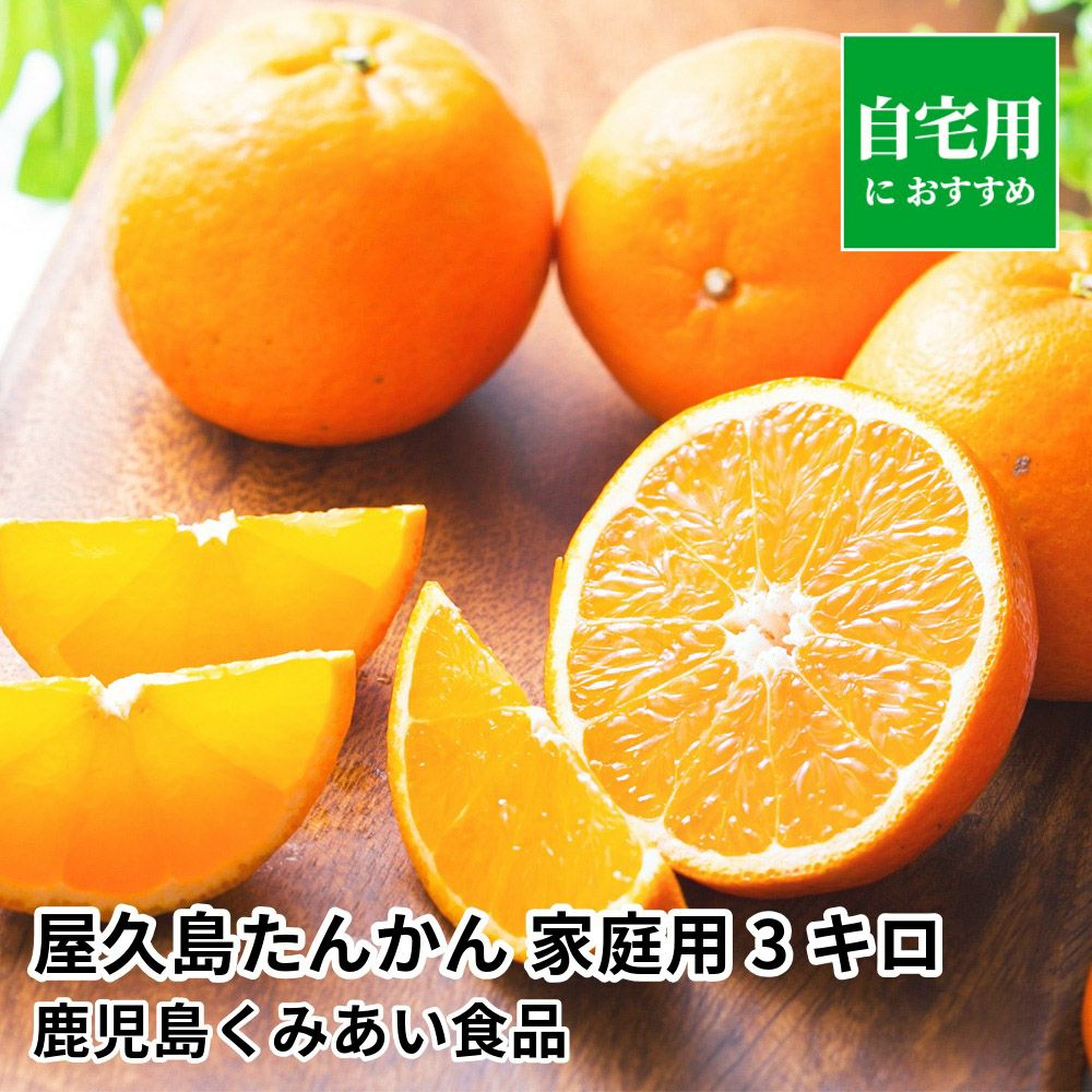 屋久島たんかん ご自宅用 3キロ 2L～Sサイズのギフト通販・お取り寄せ