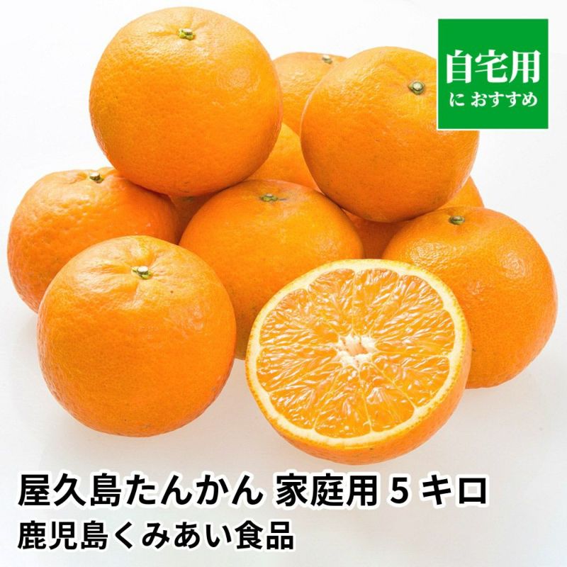 屋久島たんかん ご自宅用 5キロ 2L～Sサイズのギフト通販・お取り寄せ