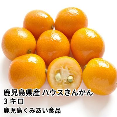 きんかんのギフト通販・お取り寄せ | JA鹿児島ふるさと便【公式】