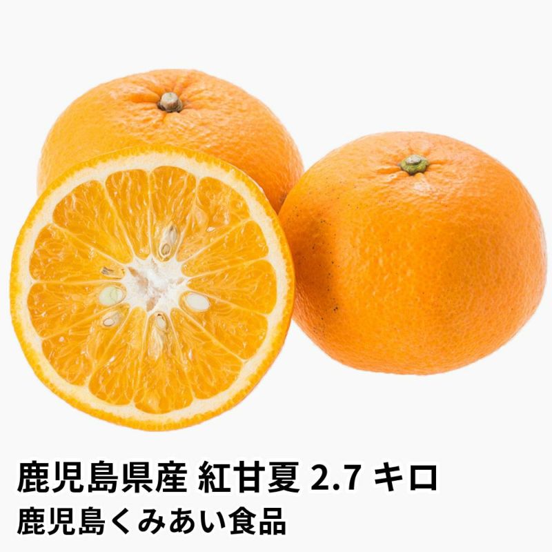 鹿児島県産 紅甘夏 2.7キロ 2L・Lサイズの商品画像01