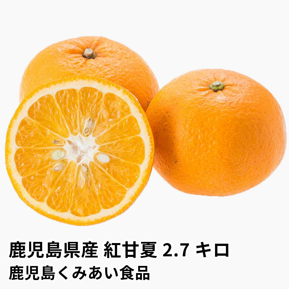 鹿児島県産 紅甘夏 2.7キロ 2L・Lサイズの商品画像01