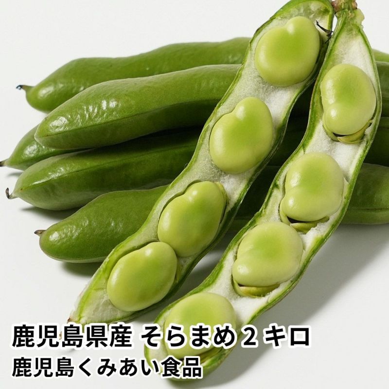 鹿児島県産 そらまめ 2キロ Lサイズの商品画像01