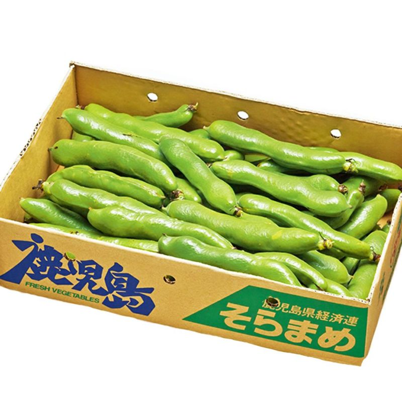 鹿児島県産 そらまめ 2キロ Lサイズの商品画像02