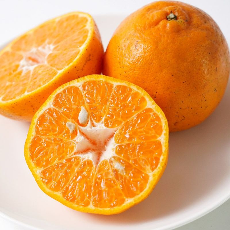 鹿児島県産 薩州ぽんかん 2.5キロ 2L～Mサイズの商品画像02