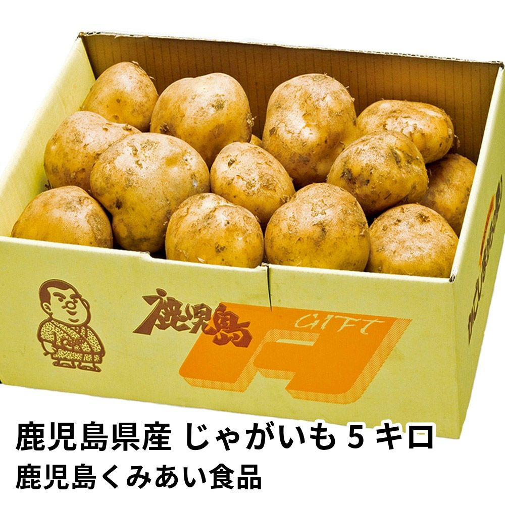 鹿児島県産 じゃがいも 5キロ 2L・Lサイズ
