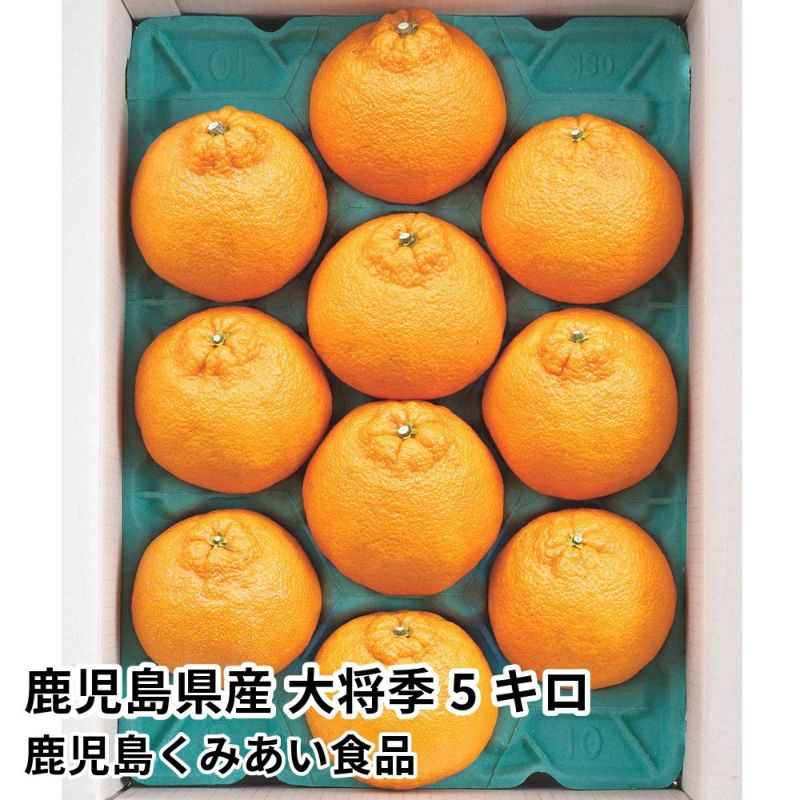 鹿児島県産 大将季 5キロ 5L～2Lサイズの商品画像01