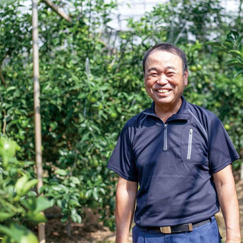 鹿児島県産 大将季 5キロ 5L～2Lサイズの商品画像02