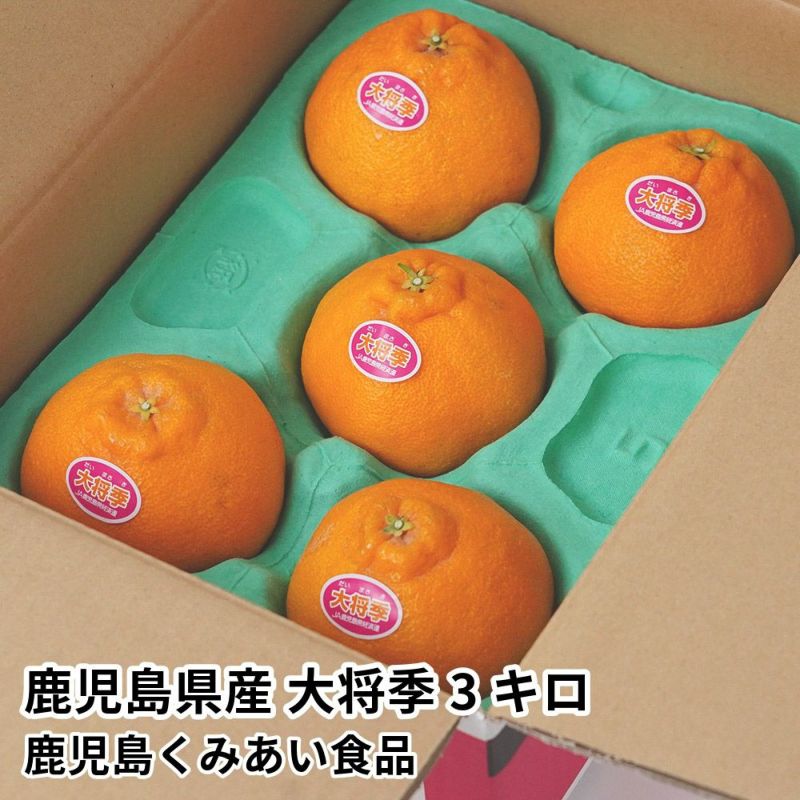 鹿児島県産 大将季 3キロ 5L～2Lサイズのギフト通販・お取り寄せ | JA