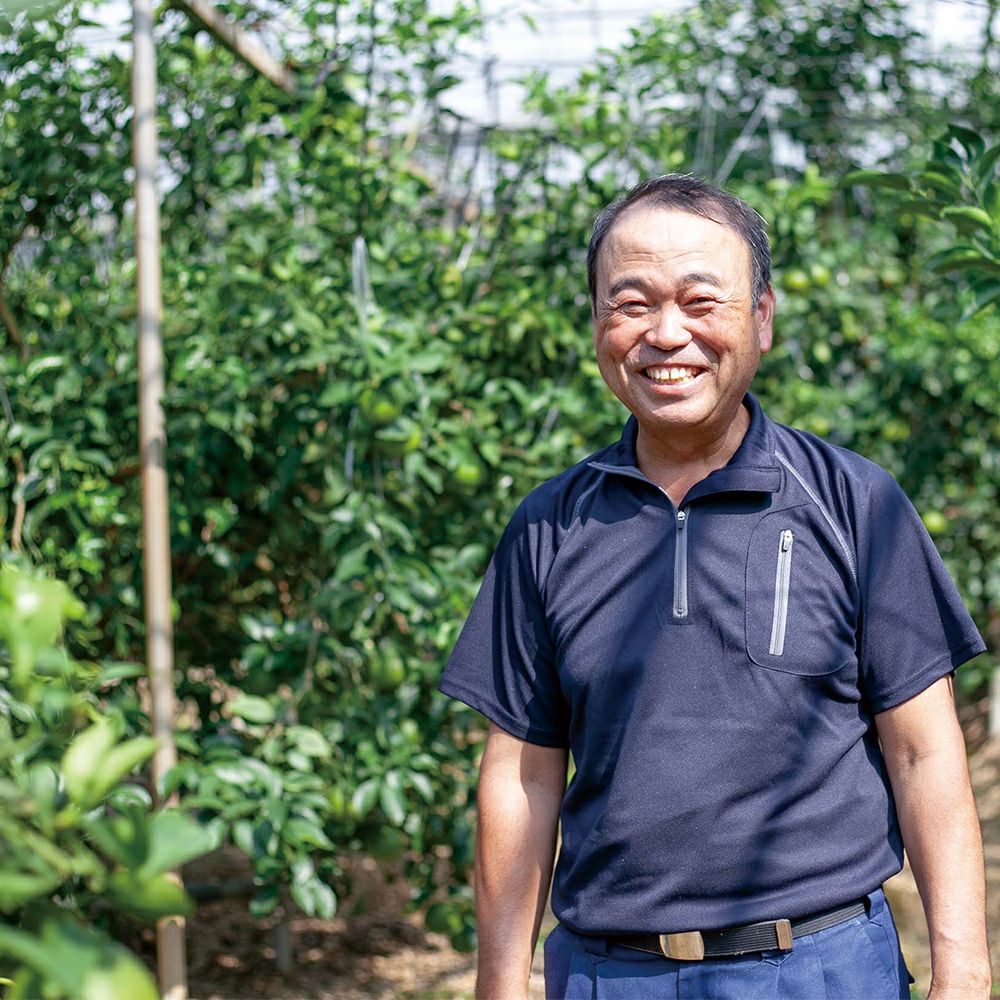 鹿児島県産 大将季 1.4キロ 3L・2Lサイズの商品画像02