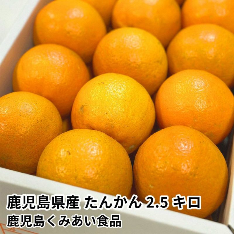 鹿児島県産 たんかん 2.5キロ 2L～Mサイズの商品画像01