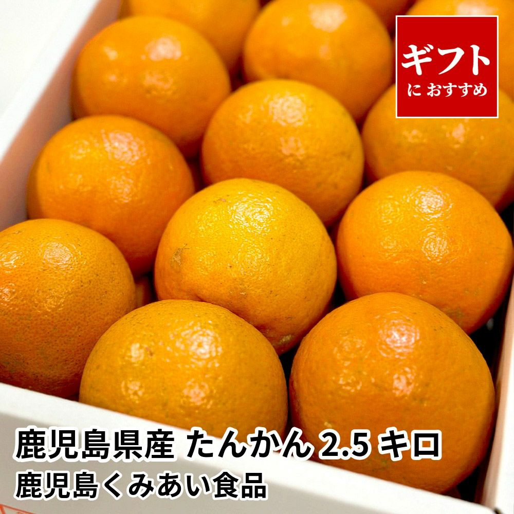 鹿児島県産 たんかん 2.5キロ 2L～Mサイズの商品画像01