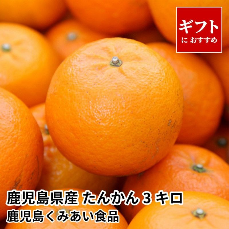 鹿児島県産 たんかん ギフト用 3キロ 2L～Mサイズのギフト通販・お