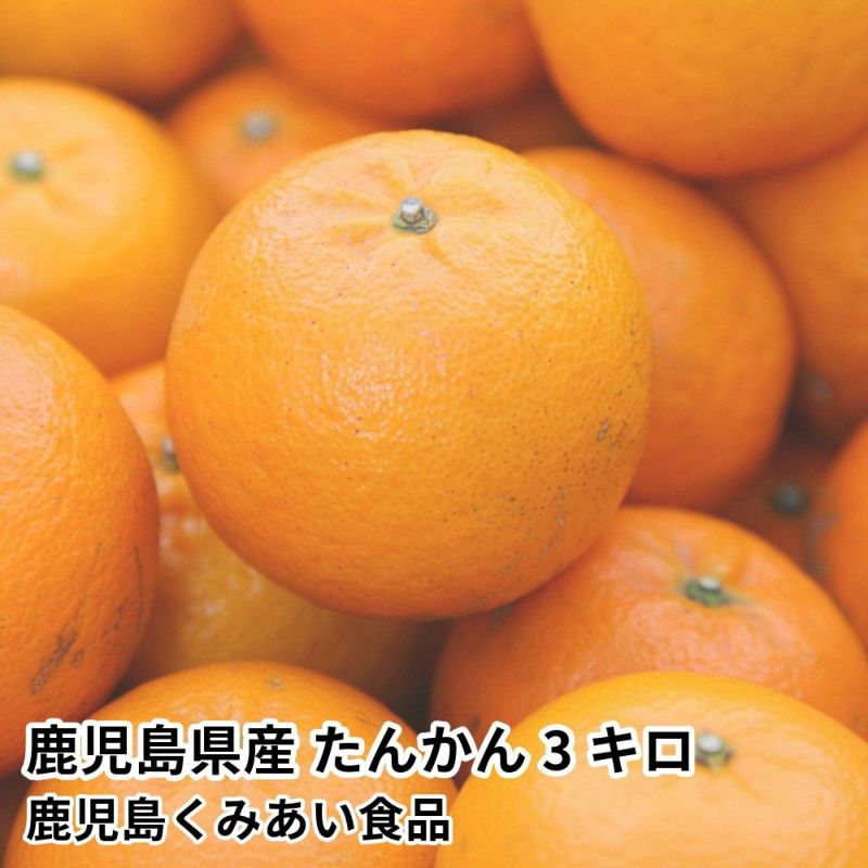 鹿児島県産 たんかん 3キロ 2L～Mサイズの商品画像01