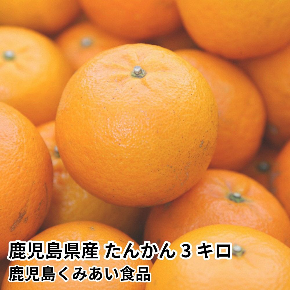 鹿児島県産 たんかん 3キロ 2L～Mサイズの商品画像01