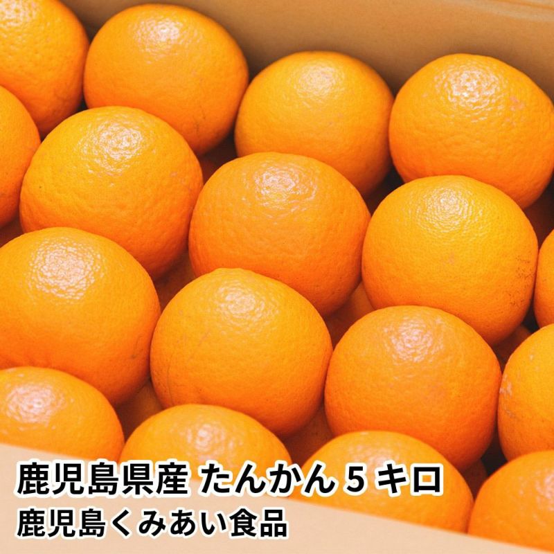 鹿児島県産 たんかん 5キロ 2L～Mサイズの商品画像01