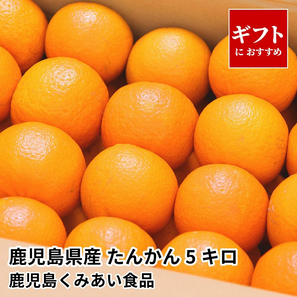 鹿児島県産 たんかん 5キロ 2L～Mサイズの商品画像01