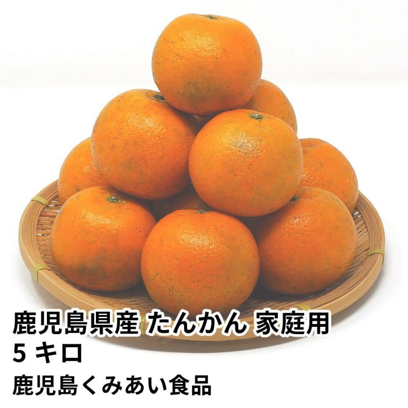 鹿児島県産 たんかん ご家庭用 5キロ 4L～2Sサイズの商品画像01