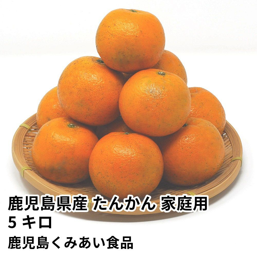 鹿児島県産 たんかん ご家庭用 5キロ 4L～2Sサイズの商品画像01